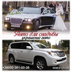 Дима Дима 0038