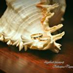 Виктория Перепелица