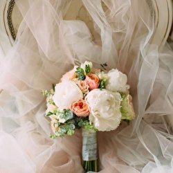 Анна Витребеньки