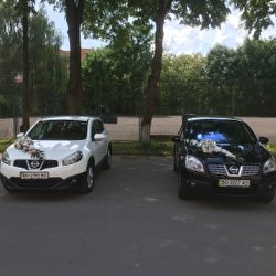 Олександр Дрозд