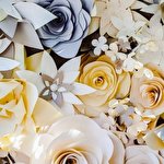 Ірина Проців Весільна агенція 