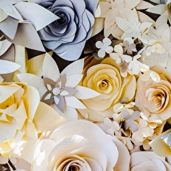 Ірина Проців Весільна агенція 