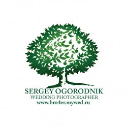 Сергій Огородник