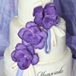 Альона Мельнікова