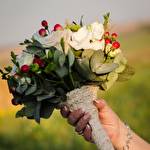 Віта Карпінська