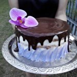 Ірина Шевчук