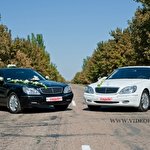 Михаил Куцын