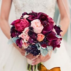 Ірина Бобель