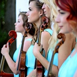 Black Tie Струнный квартет Black Tie