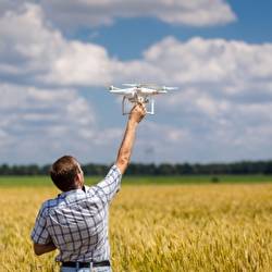 Микола Палій