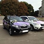 Назар Кортежко