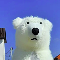 Привітання від Білого Ведмедика 