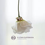 Елена Гурская