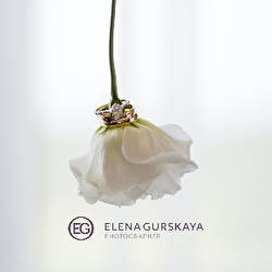 Елена Гурская