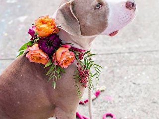 Підготовка до весілля з урахуванням інтересів гостей - Hot Wedding Blog