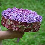 Светлана  #7611