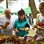 Кейтеринг Аллюр #7734