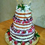 Наталя Князєва #4875