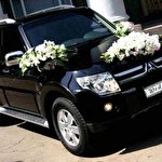 Роман Pajero #7482