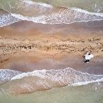 Олег Черкащенко #4007