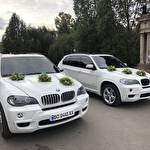 Діма Ткачук #4583