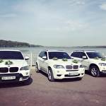 Діма Ткачук #4583