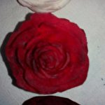 Діана Робота-По-Карвінгу #4884