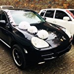 Володимир Porsche #2317