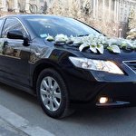 Ігор Кузишен #7408