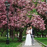 Focus Production #1521