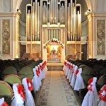 КАРНАВАЛ  студия праздников #6477