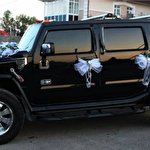 Анна Назаренко #4646