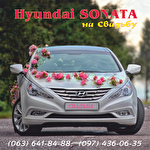 Ігор Винницкий #4634