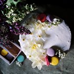 Анастасия Евладенко #5016