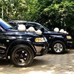 Bohdan Pajero Sport #9087