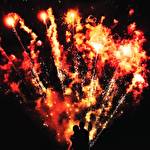 Ігор Цвид #530