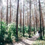 Денис Денисов #3634