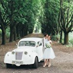 Таня Ніколаєнко #194