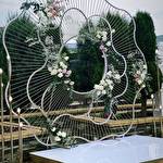 Світлана  #9424