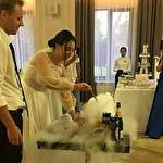 Жваві музики #6971