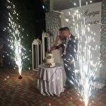 Жваві музики #6971