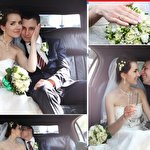 Світлана Шпак #2358