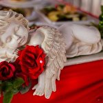 Свадебное Агентство Tulip Tulip #497