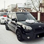 Маркіян Зангієв #2308