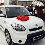 Маркіян Зангієв #2308