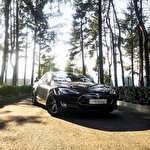 Володимир Володимир #7466