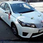 Toyota Corolla #4659