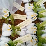 Олена Іванова #6953