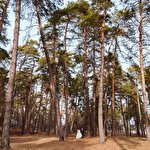 Костянтин Горонович #3197