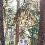 Алиса Зинкевич #3733